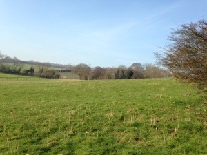 20130217-132657.jpg